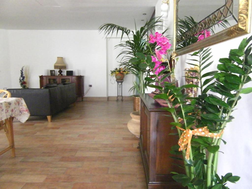Hotel Galassi Numana Εξωτερικό φωτογραφία